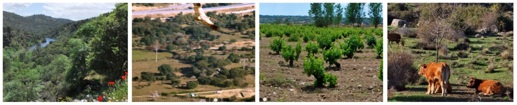 sierra_oeste_agro2