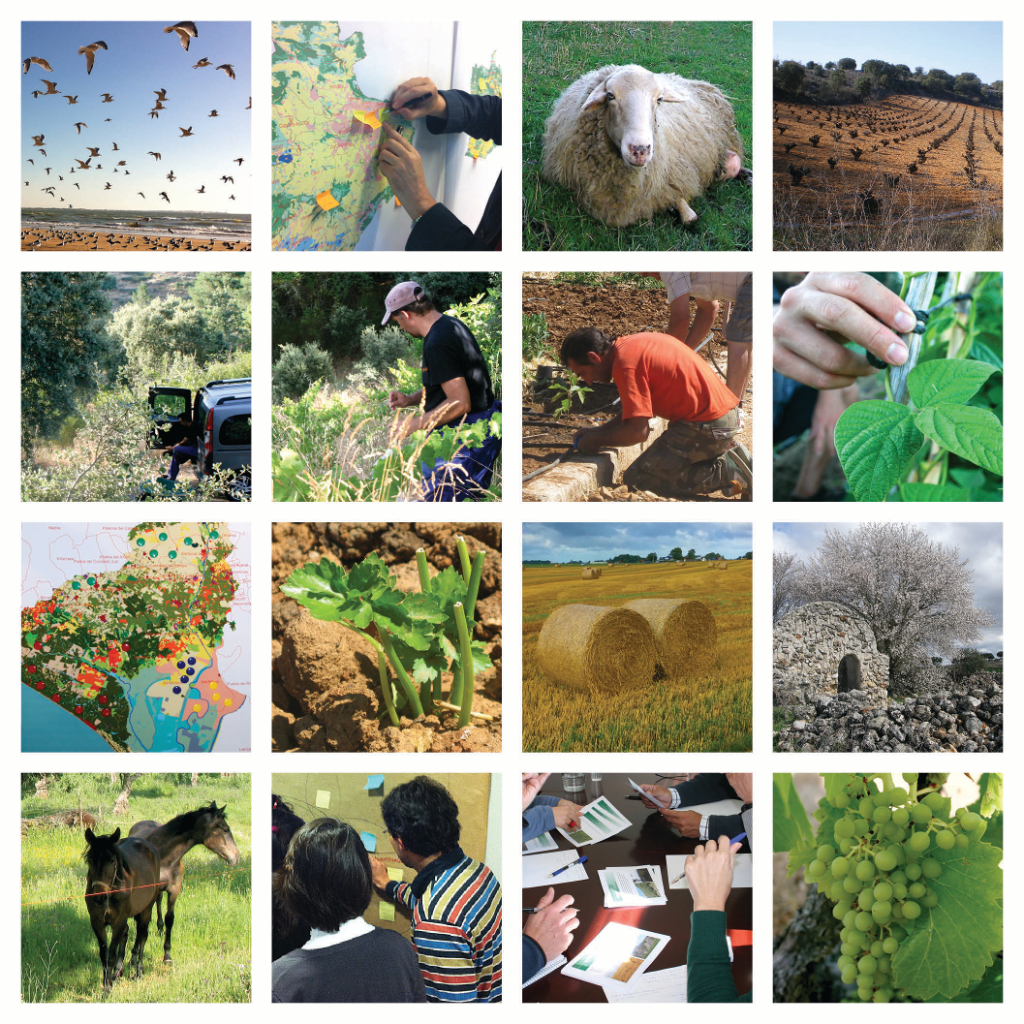 just photo mosaic