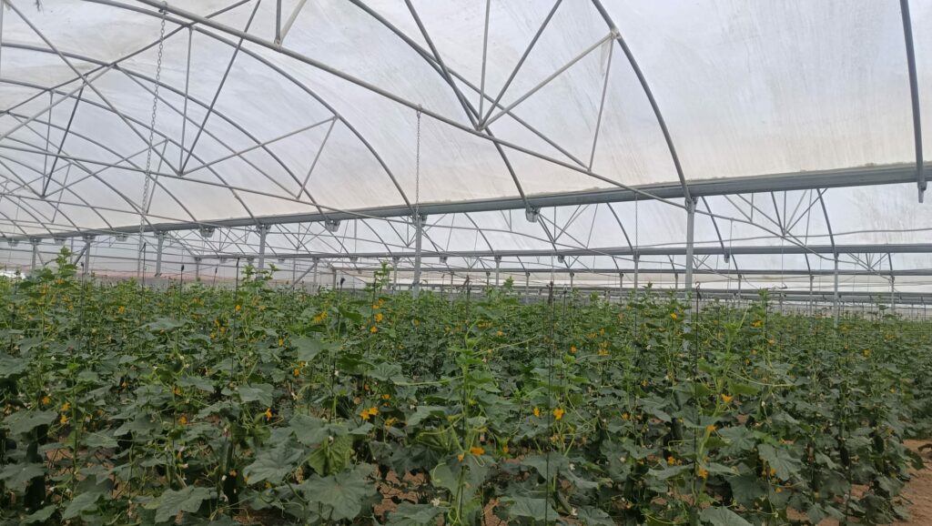 007 - Impulso a los productos de proximidad - Cooperar para Alimentar Madrid
