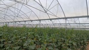 007 - Impulso a los productos de proximidad - Cooperar para Alimentar Madrid