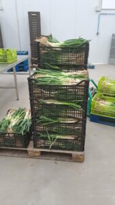 010 - Impulso a los productos de proximidad - Cooperar para Alimentar Madrid